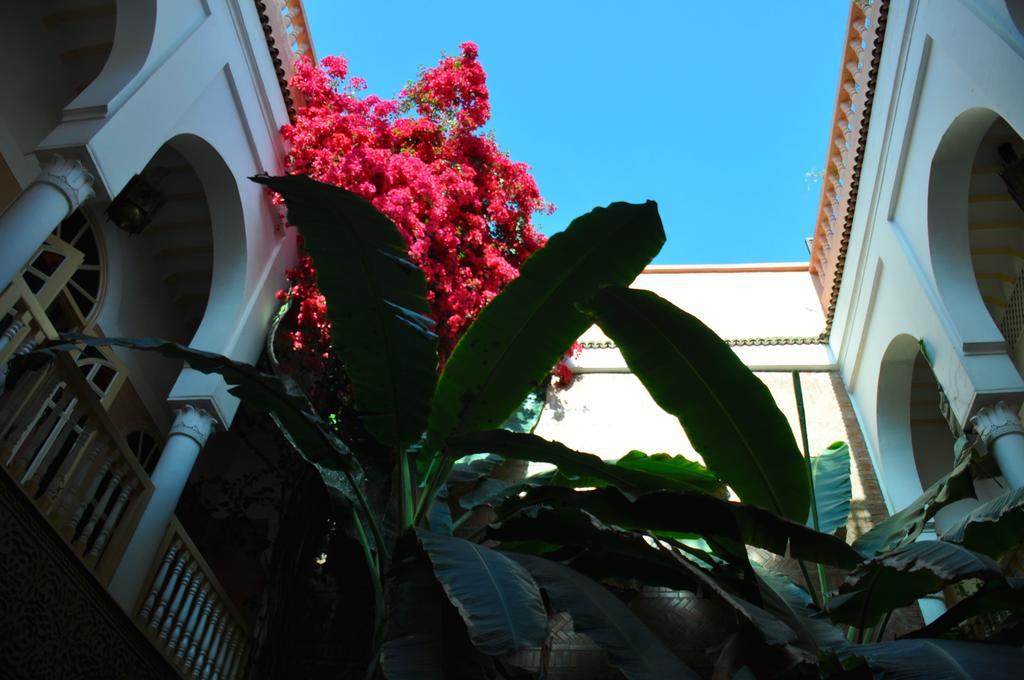 Riad Habib Marakeş Dış mekan fotoğraf
