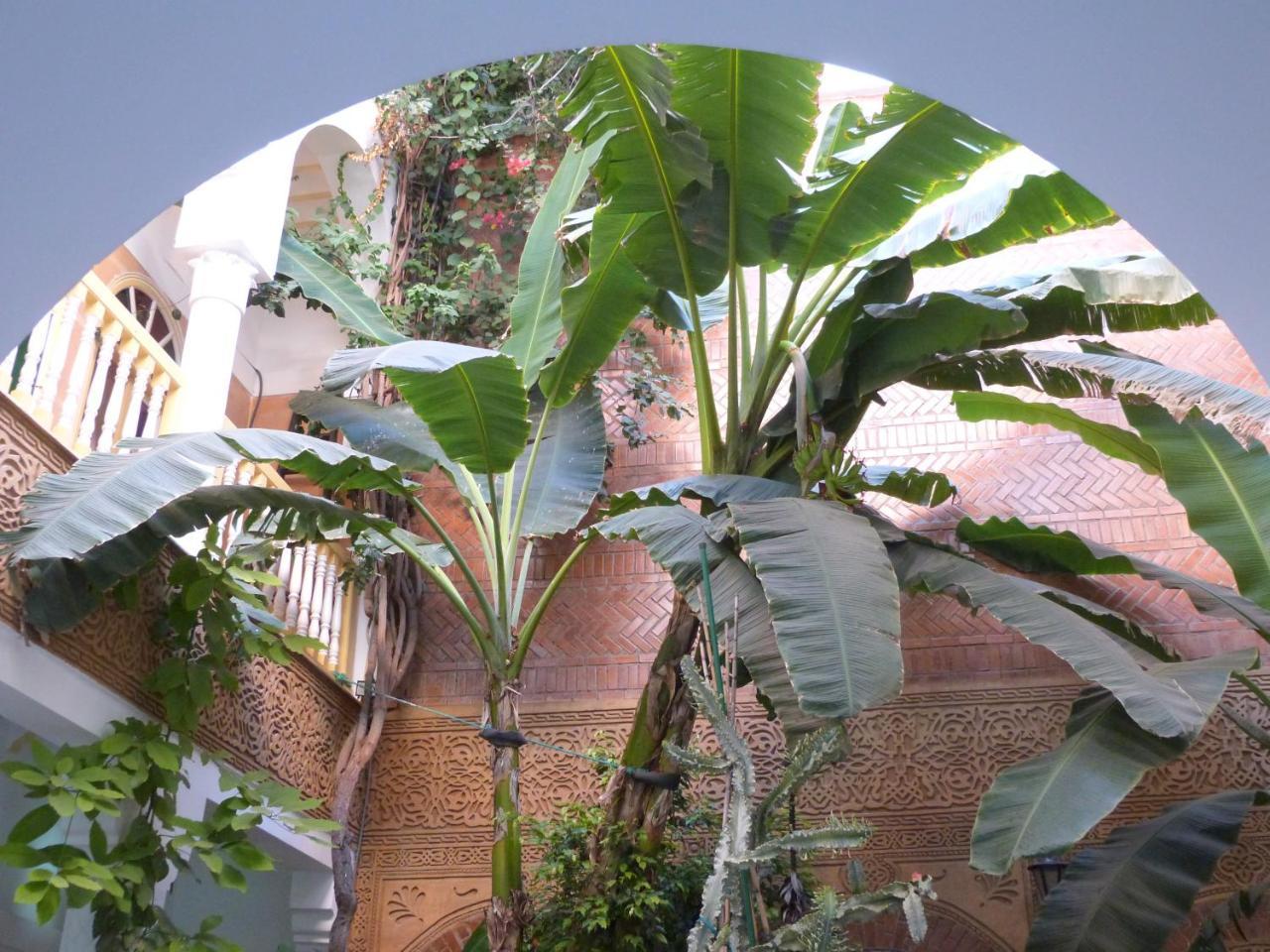 Riad Habib Marakeş Dış mekan fotoğraf